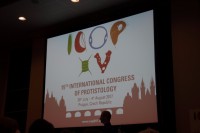 /album/photogallery/a25600731085037q-jpg/