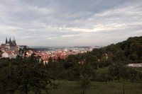 /album/photogallery/a25600803183314q-jpg/